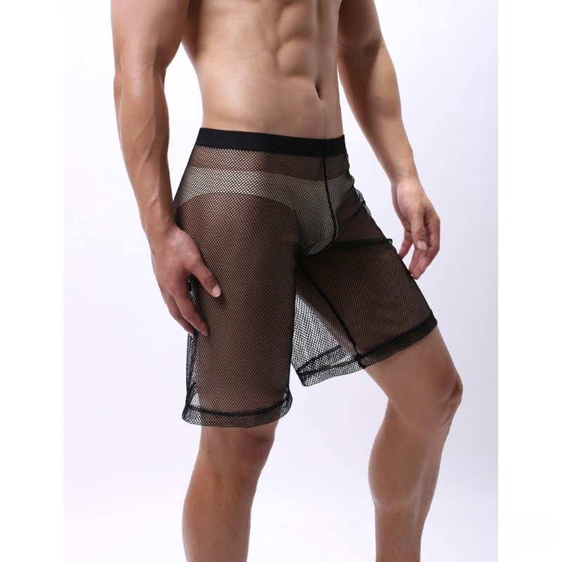 Trunk Breathable Men - Low Rise Mesh Erotic Underwear for