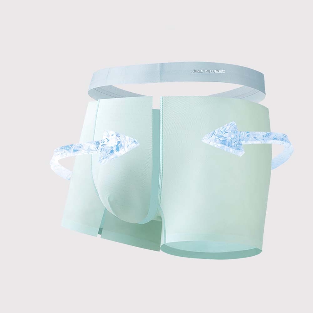 4Pcs Man Panties Quick-Dry Ice - Pouch Boxer Pouch 评论和价格