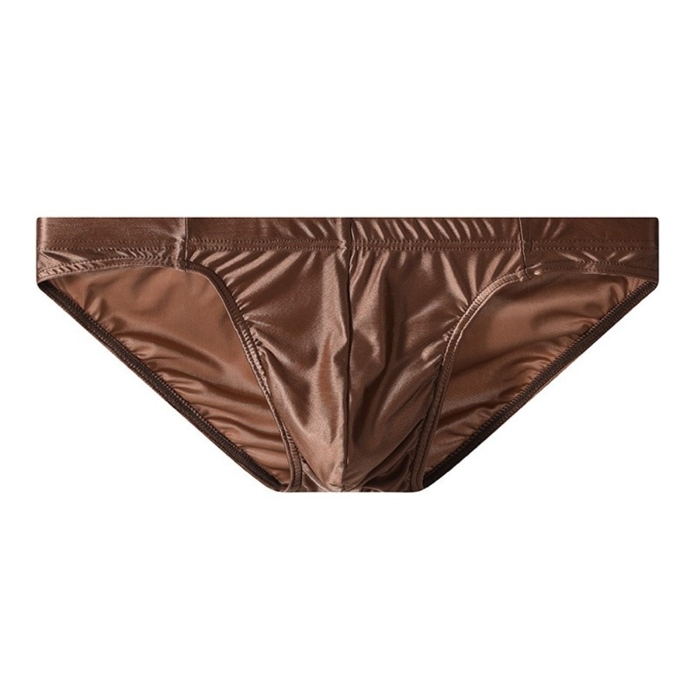 Mens Ice Silk Satin Briefs Sex - Quick Dry Underwear 评论和价格