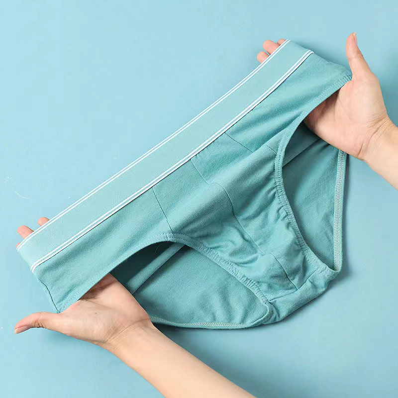 4Pcs/Lot Men's Briefs Sexy Und - Multi Pack Underwear 评论和价格